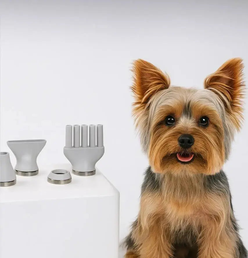 Why I Recommend the Woof Avenue Smart Pet Dryer - Woof Avenue