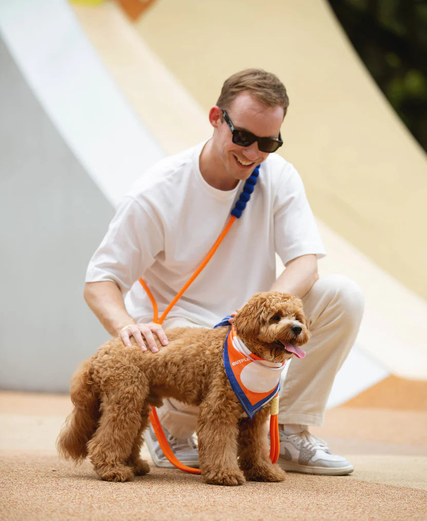 Urban Bubble Dog Leash Woof Avenue