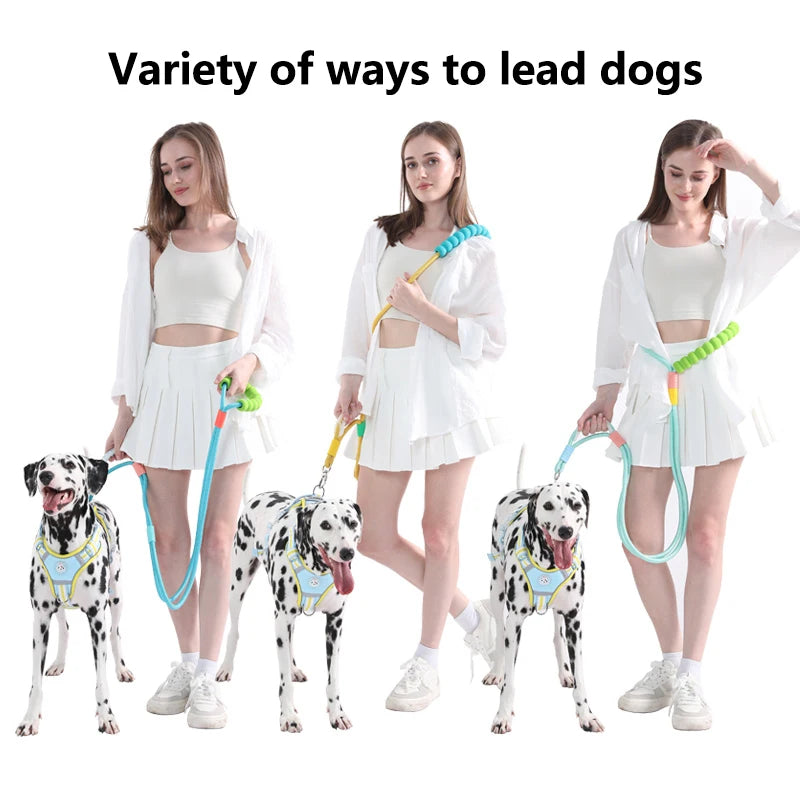 Versatile Pet Traction Leashes with a Comfortable Foam Handle Woof Avenue