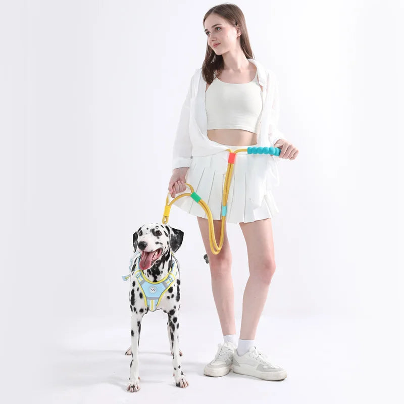 Versatile Pet Traction Leashes with a Comfortable Foam Handle Woof Avenue