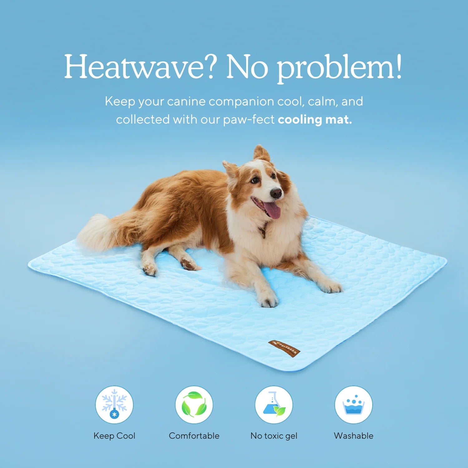 CoolPaws™ by Woof Avenue Woof Avenue