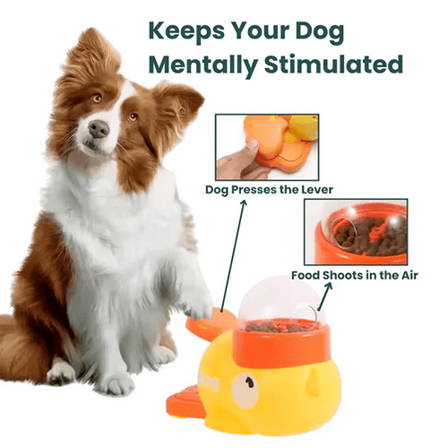 Dog Puzzle Feeder – Smart Mealtime Fun - Woof Avenue