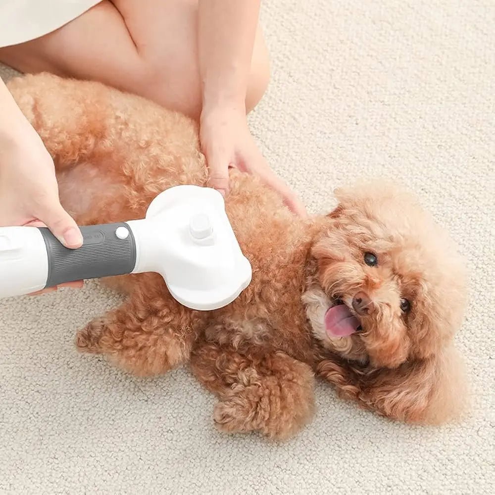 PetDry 3 - in - 1 Brush - Woof Avenue
