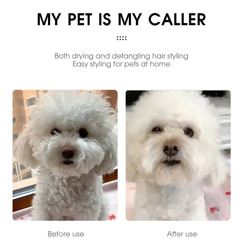 PetDry 3 - in - 1 Brush - Woof Avenue