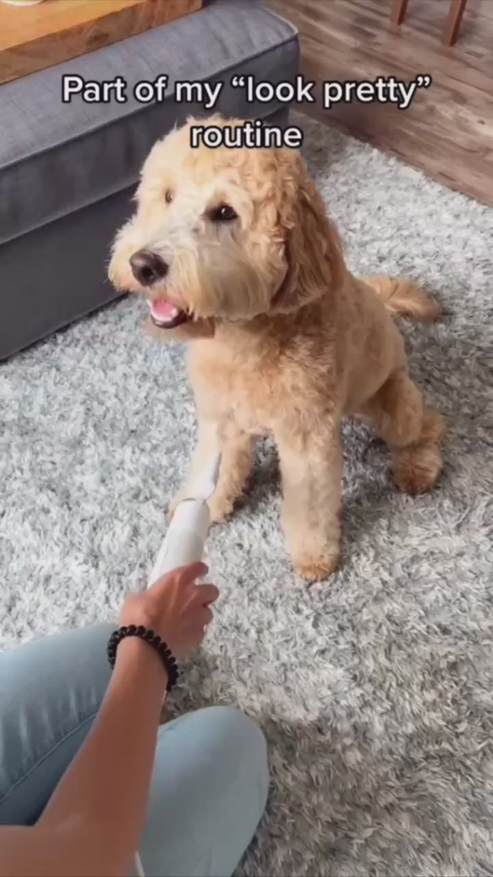 Smart Pet Dryer WOOF AVENUE™