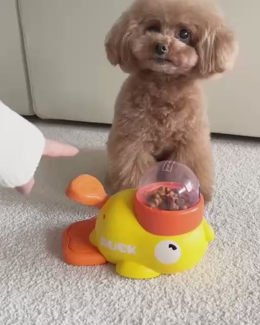 Dog Puzzle Feeder – Smart Mealtime Fun