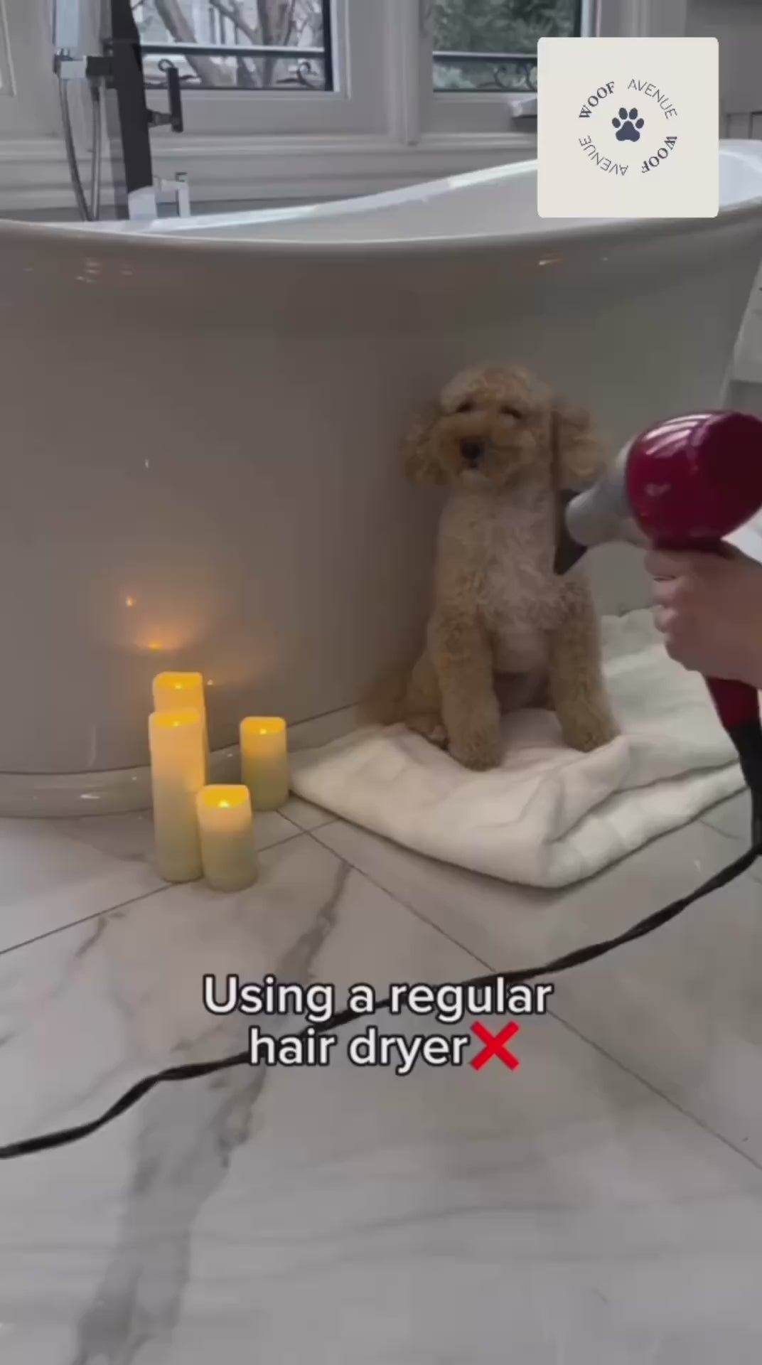 pet hair dryer 3 in 1