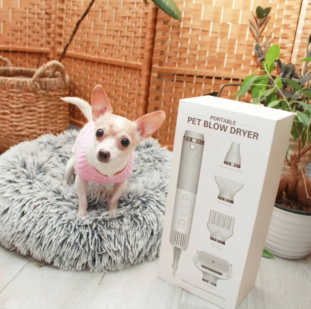 Smart Pet Dryer WOOF AVENUE™ - Woof Avenue