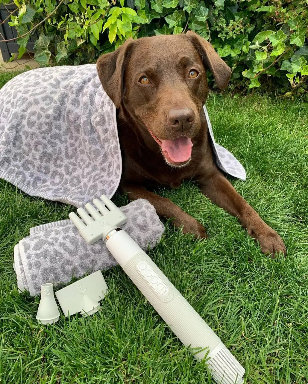 Smart Pet Dryer WOOF AVENUE™ - Woof Avenue