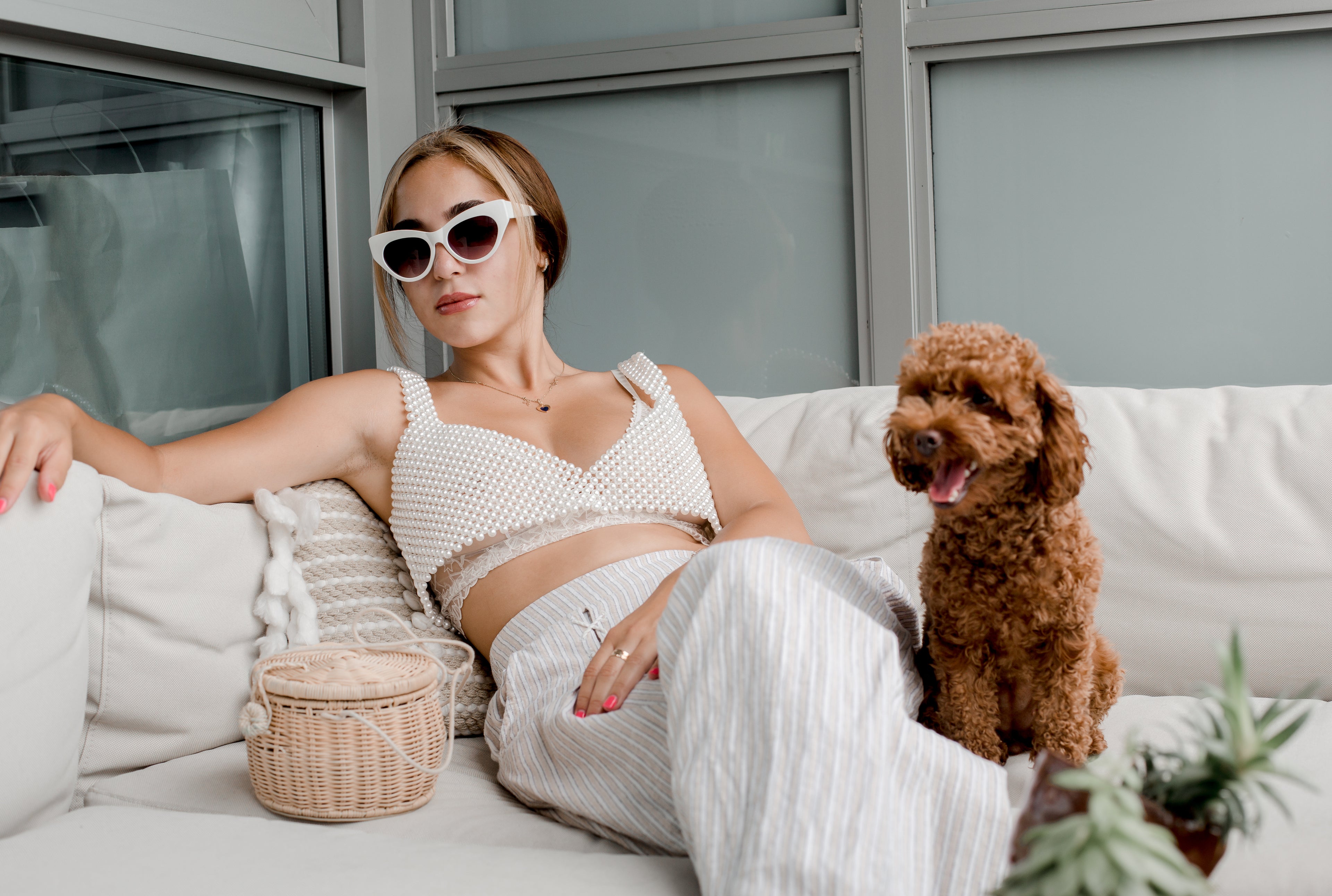 woof avenue summer sale banner
